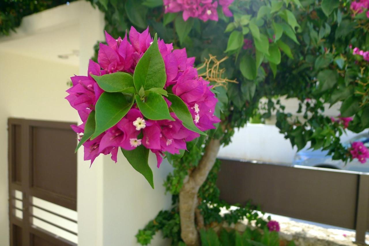 Maria & Manos Guest House, Agios Onoufrios Beach Exterior photo